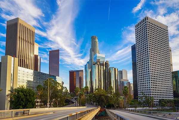 Commercial Pest Control